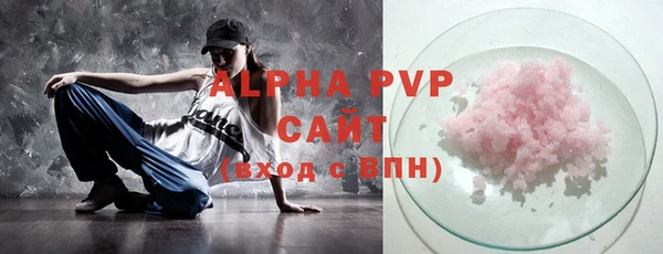 индика Рославль