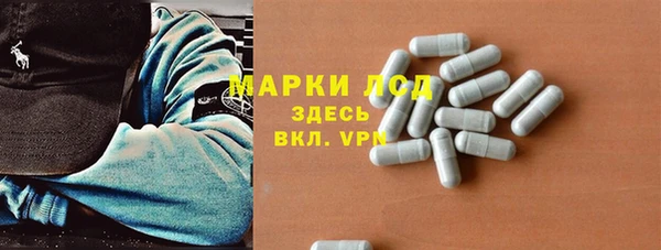 apvp Ростов