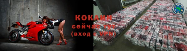 индика Рославль