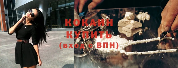 индика Рославль
