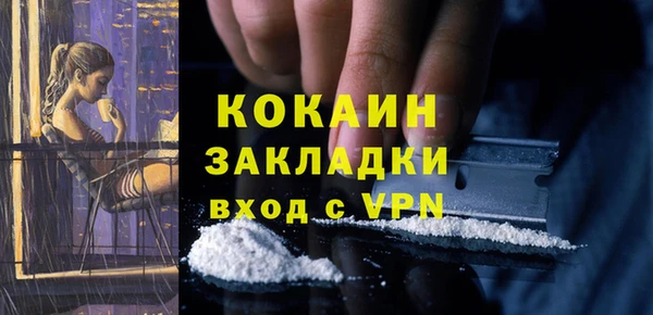 индика Рославль
