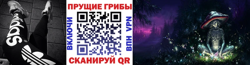 Галлюциногенные грибы Psilocybine cubensis  Купить закладки  Кораблино 